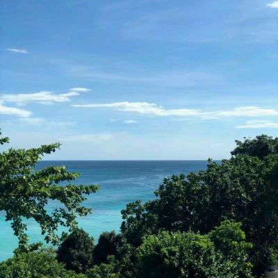 海岛皇室大乱斗手游(暂未上线)v1.0.0 安卓版